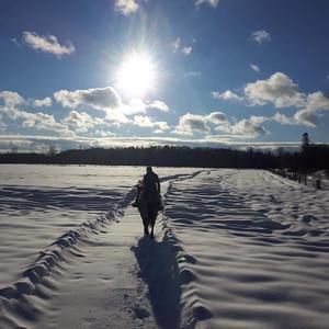 Meet your Posher, Isabel